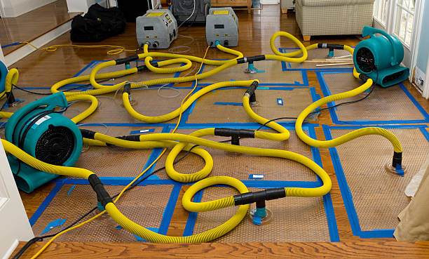Professional Storm Water Damage Restoration technician working in Manley, NE